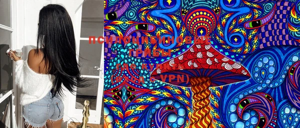 PSILOCYBIN Лихославль