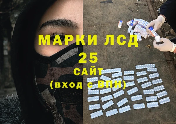 PSILOCYBIN Лихославль
