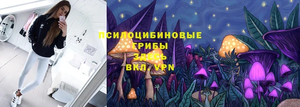 PSILOCYBIN Лихославль