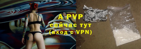 PSILOCYBIN Лихославль