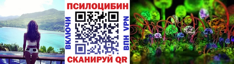 мориарти клад  hydra сайт  Исилькуль  Галлюциногенные грибы Magic Shrooms 